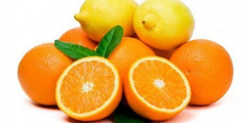 Kompot od narandže i limuna